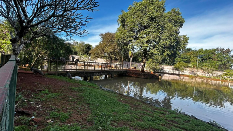 Imagem Terreno à Venda, 1.222 m² em Jardim Ana Cristina - Foz Do Iguaçu Imagem Terreno à Venda, 1.222 m² em Jardim Ana Cristina - Foz Do Iguaçu