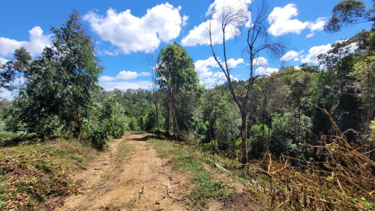 Imagem Fazenda à Venda,  em Imbuial - Campina Grande Do Sul