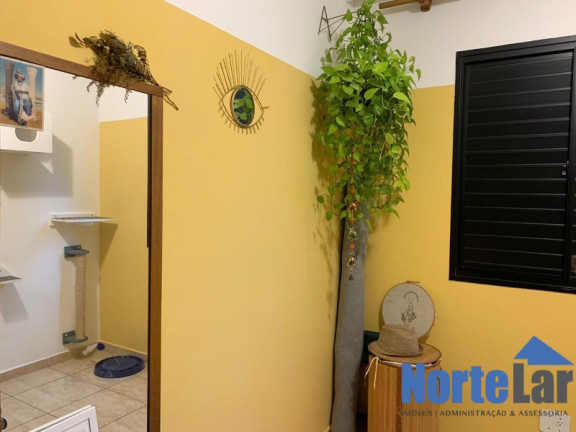 Imagem Apartamento com 2 Quartos à Venda, 50 m² em Vila Palmeiras - São Paulo
