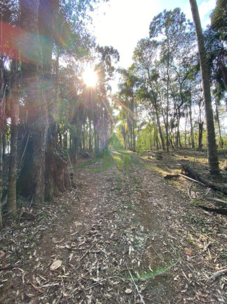 Imagem Terreno em Condomínio à Venda, 3.000 m² em Portão - Atibaia Imagem Terreno em Condomínio à Venda, 3.000 m² em Portão - Atibaia