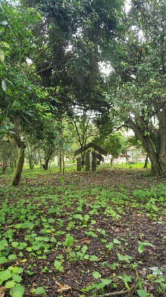 Imagem Terreno à Venda, 5.000 m² em Aldeia - Camaragibe Imagem Terreno à Venda, 5.000 m² em Aldeia - Camaragibe