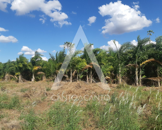 Imóvel com 1 Quarto à Venda, 9.600 m² em Comunidade Nossa Senhora De Fátima - Sinop