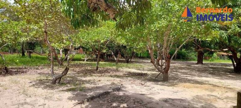 Imagem Chácara com 3 Quartos à Venda, 6 m² em Guanaces - Cascavel