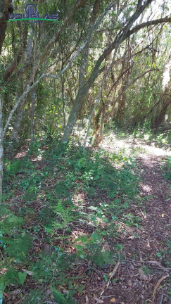 Imagem Terreno à Venda, 2.400 m² em Viamão Imagem Terreno à Venda, 2.400 m² em Viamão