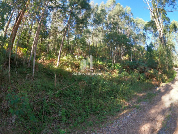 Imagem Terreno à Venda, 10.000 m² em São Cristovão - Flores Da Cunha Imagem Terreno à Venda, 10.000 m² em São Cristovão - Flores Da Cunha