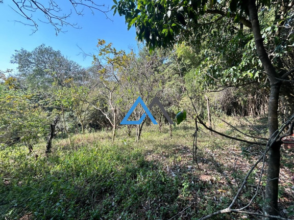 Imagem Imóvel com 3 Quartos à Venda, 3.000 m² em Laranjeiras - Caieiras