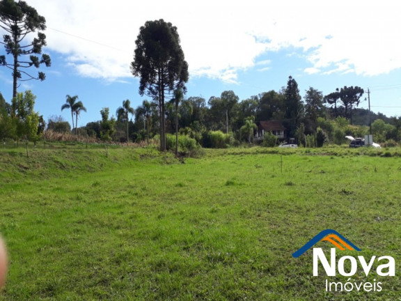 Imagem Imóvel à Venda, 150 m² em Linha Araripe - Nova Petrópolis Imagem Imóvel à Venda, 150 m² em Linha Araripe - Nova Petrópolis