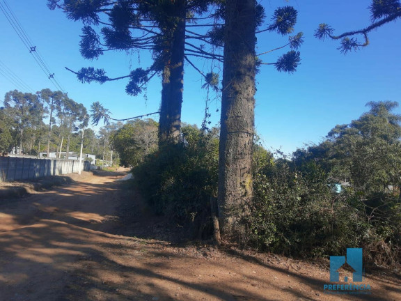 Imagem Imóvel com 2 Quartos à Venda, 100 m² em Guaragi - Ponta Grossa