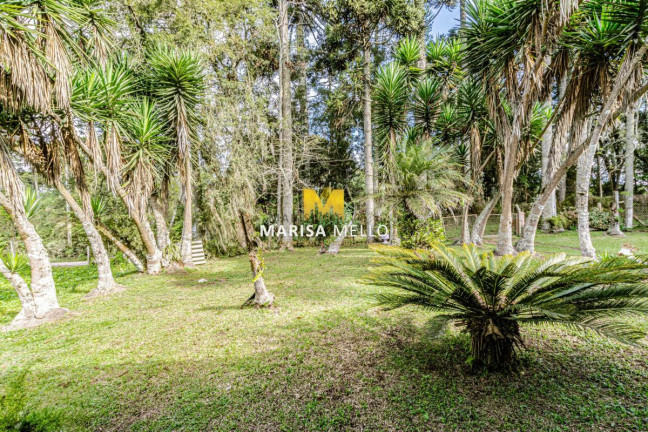 Imagem Chácara com 3 Quartos à Venda, 4.500 m² em Planta Terezinha - Piraquara Imagem Chácara com 3 Quartos à Venda, 4.500 m² em Planta Terezinha - Piraquara