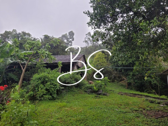 Imagem Imóvel com 2 Quartos à Venda, 37.632 m² em Nova Aurora - Igrejinha