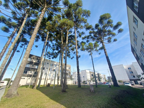Imagem Apartamento com 2 Quartos à Venda, 40 m² em Jardim Itaqui - Campo Largo