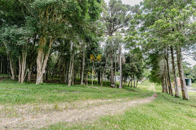 Imagem Chácara com 2 Quartos à Venda, 107 m² em Capoeira Dos Dinos - Piraquara