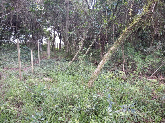Imagem Chácara à Venda, 20.000 m² em águas Claras - Viamão Imagem Chácara à Venda, 20.000 m² em águas Claras - Viamão