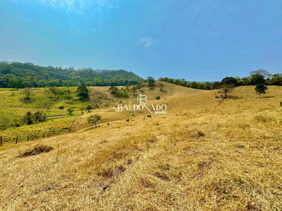 Imagem Imóvel à Venda, 32.000 m² em Centro - Extrema Imagem Imóvel à Venda, 32.000 m² em Centro - Extrema