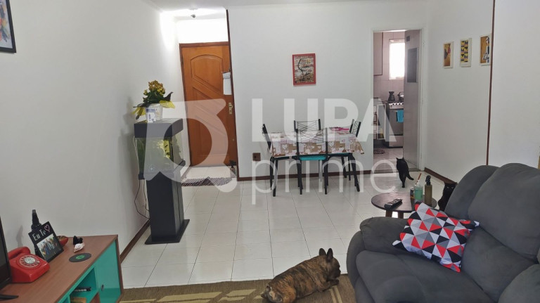 Imagem Apartamento com 3 Quartos à Venda, 90 m² em Tucuruvi - São Paulo Imagem Apartamento com 3 Quartos à Venda, 90 m² em Tucuruvi - São Paulo