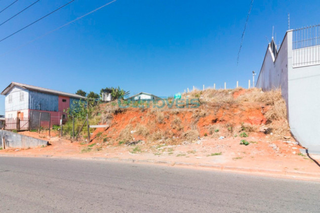 Imagem Terreno para Alugar, 540 m² em Vargem Grande - Pinhais Imagem Terreno para Alugar, 540 m² em Vargem Grande - Pinhais