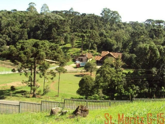 Terreno à Venda, 524 m² em Vila Moura - Gramado