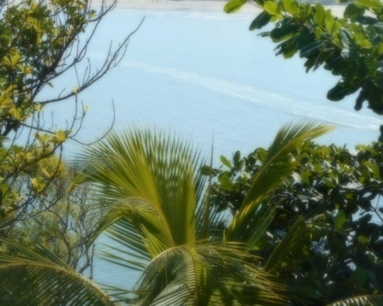 Imagem Imóvel com 6 Quartos à Venda, 700 m² em Península - Guarujá