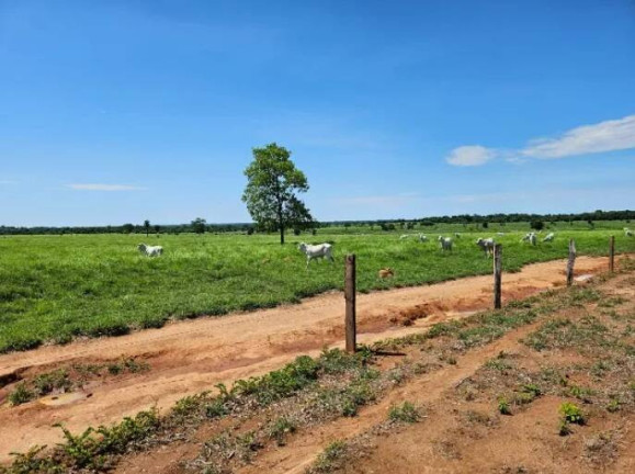 Imagem Fazenda à Venda, 11 m² em Ponte Rio Palmeiral - Mundo Novo Imagem Fazenda à Venda, 11 m² em Ponte Rio Palmeiral - Mundo Novo