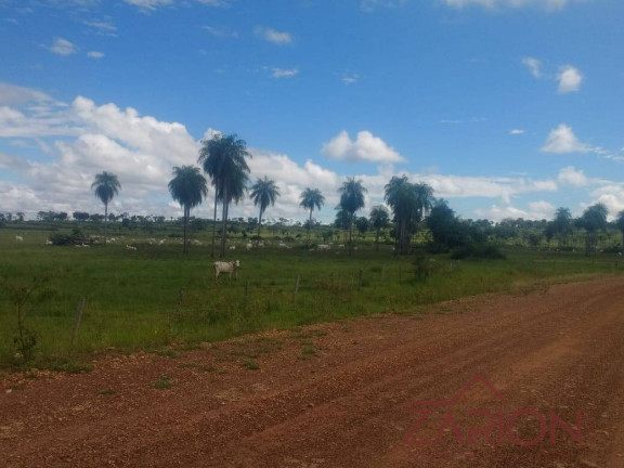 Imagem Fazenda à Venda, 13.000 m² em Jardim Paraíso - Naviraí