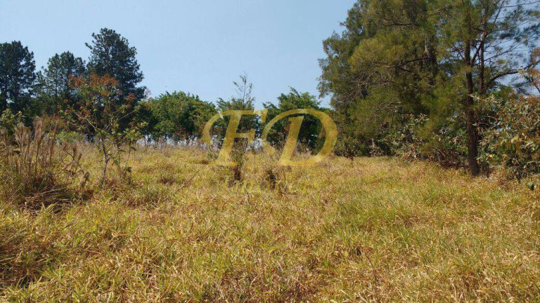 Imagem Terreno à Venda, 3.756 m² em Bom Jesus Dos Perdões Imagem Terreno à Venda, 3.756 m² em Bom Jesus Dos Perdões
