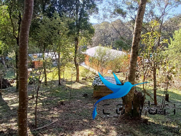 Imagem Chácara com 2 Quartos à Venda, 6.000 m² em Palmital - Agudos Do Sul