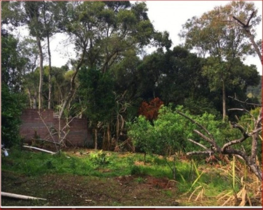 Imagem Casa com 2 Quartos à Venda, 323 m² em Logradouro - Nova Petrópolis