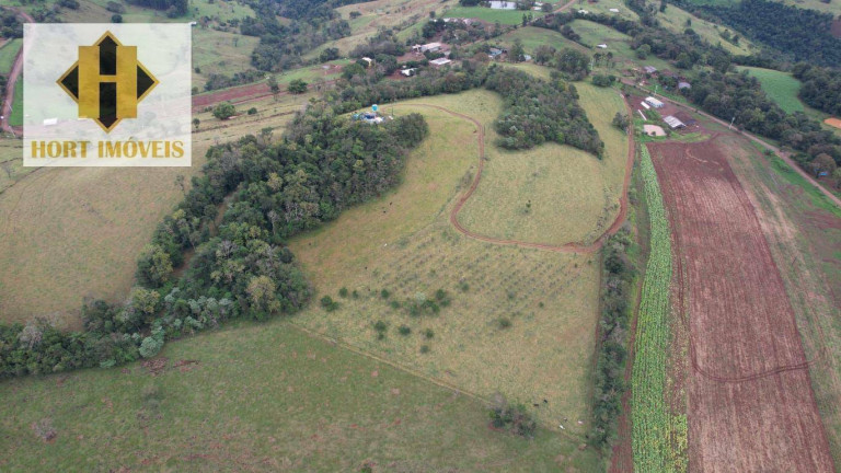 Imagem Chácara com 3 Quartos à Venda, 145.000 m² em Santo Antônio - Chapecó