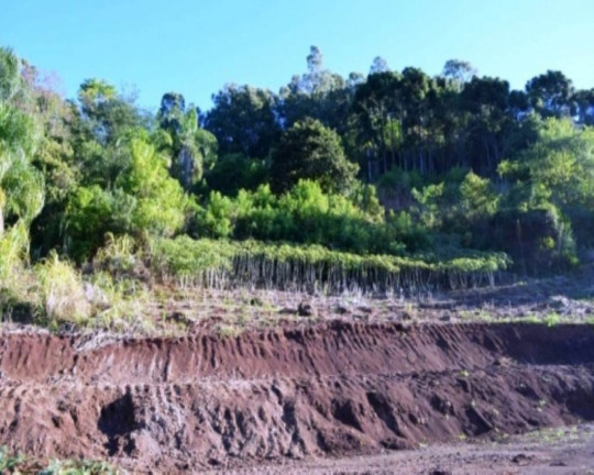 Imagem Terreno à Venda, 6 m² em Linha Imperial - Nova Petrópolis Imagem Terreno à Venda, 6 m² em Linha Imperial - Nova Petrópolis