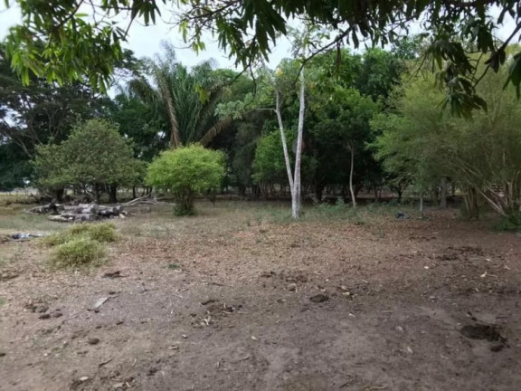 Imagem Fazenda à Venda, 1 m² em Zona Rural - Sinop Imagem Fazenda à Venda, 1 m² em Zona Rural - Sinop