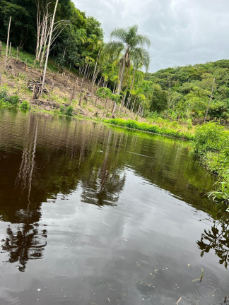 Imagem Chácara com 3 Quartos à Venda, 348.600 m² em Centro - Juquiá Imagem Chácara com 3 Quartos à Venda, 348.600 m² em Centro - Juquiá