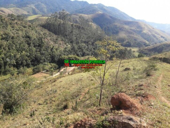 Imagem Chácara à Venda, 10.000 m² em São Francisco Xavier - São José Dos Campos Imagem Chácara à Venda, 10.000 m² em São Francisco Xavier - São José Dos Campos