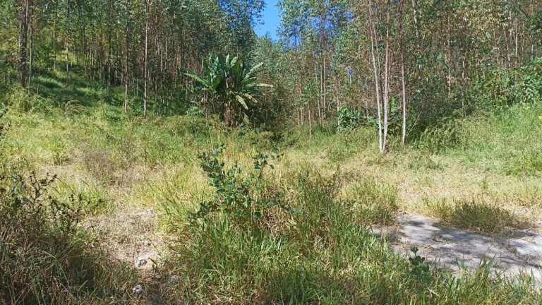 Imagem Chácara com 1 Quarto à Venda, 200 m² em Mirandão - Paraibuna Imagem Chácara com 1 Quarto à Venda, 200 m² em Mirandão - Paraibuna