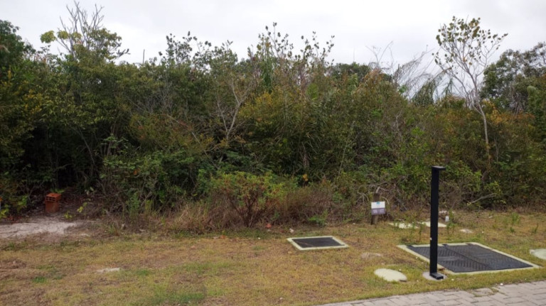 Imagem Terreno à Venda, 700 m² em Praia Do Forte - Mata De São João Imagem Terreno à Venda, 700 m² em Praia Do Forte - Mata De São João