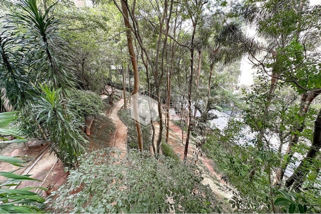 Imagem Apartamento com 3 Quartos à Venda, 211 m² em Vila Andrade - São Paulo Imagem Apartamento com 3 Quartos à Venda, 211 m² em Vila Andrade - São Paulo