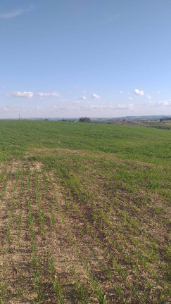 Imagem Fazenda à Venda, em Centro - Itaberá Imagem Fazenda à Venda, em Centro - Itaberá