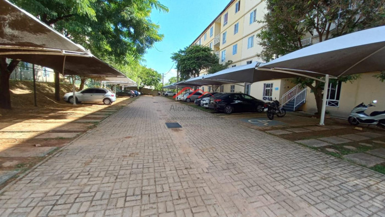 Imagem Apartamento com 2 Quartos à Venda, 44 m² em Parque Yolanda (nova Veneza) - Sumaré