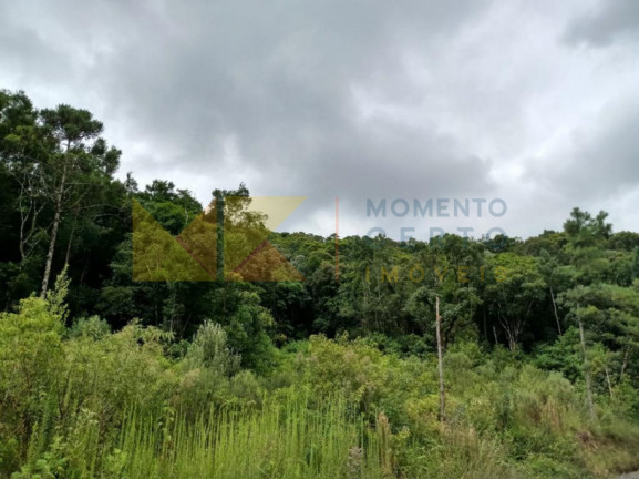 Imagem Fazenda à Venda, 64.288 m² em Barra Avencal - Rio Dos Cedros Imagem Fazenda à Venda, 64.288 m² em Barra Avencal - Rio Dos Cedros
