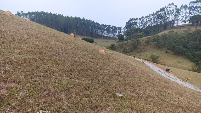 Imagem Chácara com 1 Quarto à Venda, 100 m² em Macaco - Paraibuna Imagem Chácara com 1 Quarto à Venda, 100 m² em Macaco - Paraibuna