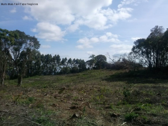 Imagem Terreno à Venda, 4 m² em Pinhal Alto - Nova Petrópolis Imagem Terreno à Venda, 4 m² em Pinhal Alto - Nova Petrópolis