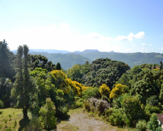 Imagem Imóvel com 2 Quartos à Venda, 77 m² em Centro - Nova Petrópolis