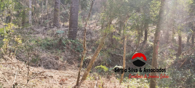 Imagem Terreno à Venda, 1 m² em Campos Do Jordão Imagem Terreno à Venda, 1 m² em Campos Do Jordão
