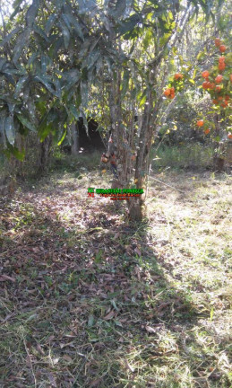 Imagem Chácara com 3 Quartos à Venda, 3.000 m² em Paraibuna Imagem Chácara com 3 Quartos à Venda, 3.000 m² em Paraibuna