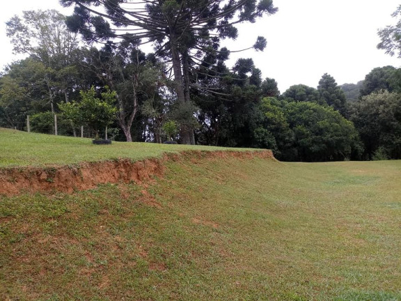 Imagem Imóvel à Venda, 77.000 m² em Barigui - Araucária Imagem Imóvel à Venda, 77.000 m² em Barigui - Araucária