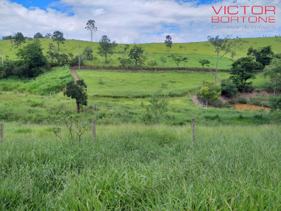 Imagem Chácara com 1 Quarto à Venda, 116.678 m² em Luiz Carlos - Guararema