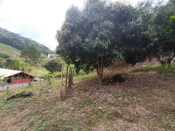 Imagem Chácara com 3 Quartos à Venda, 4 m² em Pontal Alto - Domingos Martins
