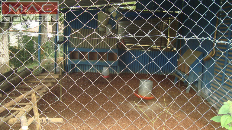 Imagem Chácara com 4 Quartos à Venda, 111 m² em Agro Brasil / Sambaetiba / Itaboraí / Rj - Itaboraí Imagem Chácara com 4 Quartos à Venda, 111 m² em Agro Brasil / Sambaetiba / Itaboraí / Rj - Itaboraí