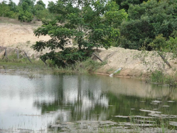 Imagem Fazenda à Venda, 500 m² em Zona Rural - Paranatinga