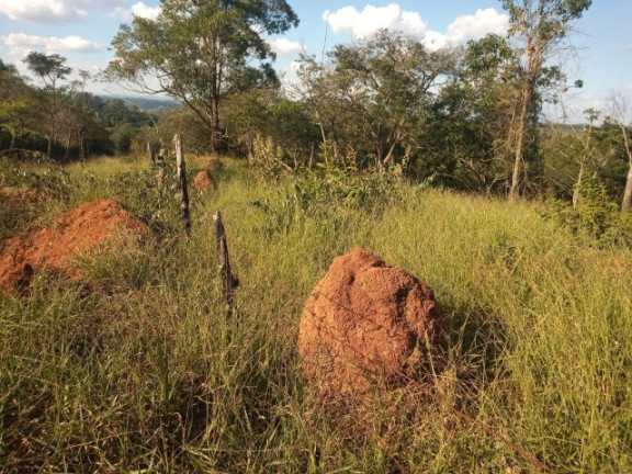 Imagem Terreno para Alugar ou Temporada, 5.000 m² em Sitio Primavera - Jarinu Imagem Terreno para Alugar ou Temporada, 5.000 m² em Sitio Primavera - Jarinu