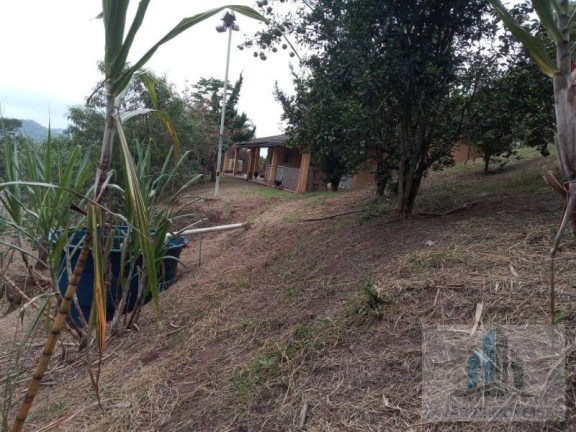 Imagem Chácara com 2 Quartos à Venda, 3.000 m² em Chácaras Vista Alegre - Arujá Imagem Chácara com 2 Quartos à Venda, 3.000 m² em Chácaras Vista Alegre - Arujá